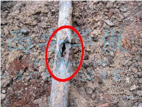 u=295570375,3834984744&fm=26&gp=0.jpg u=295570375,3834984744&fm=26&gp=0.jpg